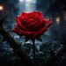 découvrez les mystères de la rose marseille, une beauté fascinante mais dangereuse sous toutes ses coutures. apprenez à reconnaître ses risques et à vous en protéger.